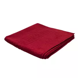 Balansoar Ecotoys 88971