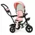 Tricicleta Cu Sezut Rotativ Ecotoys JM-066-9 - Roz