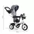 Tricicleta cu sezut rotativ Ecotoys JM-066-9L - Gri