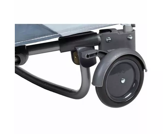 Patut Eurogloria Tygrys - Natur