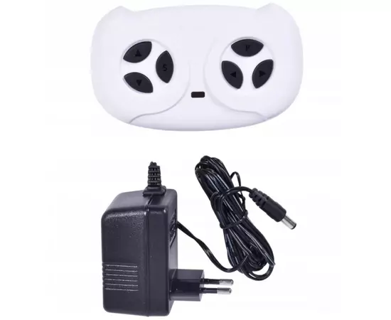 Masinuta electrica cu telecomanda Mercedes AMG GTR-S R-Sport - Negru