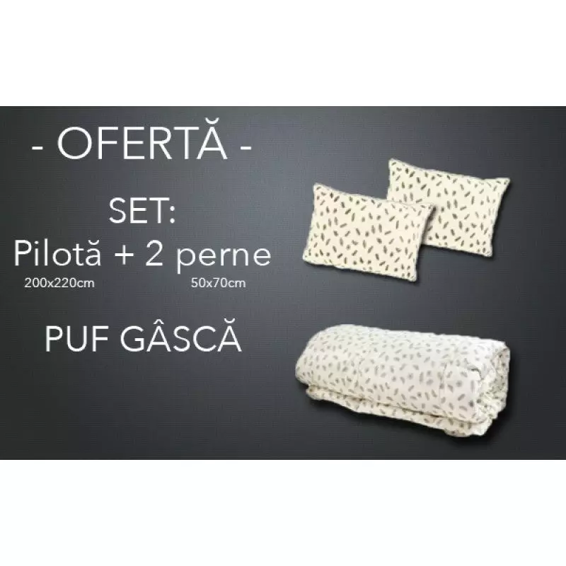 SET Pilota de iarna pentru pat de doua persoane + 2 perne dreptunghiulare din puf de gasca cod PG11