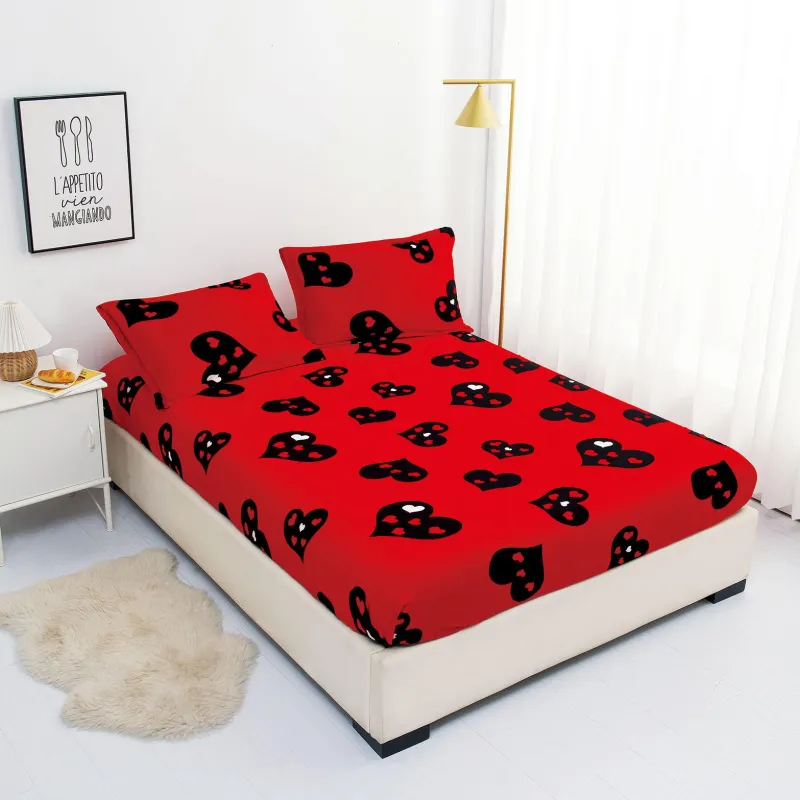 Husa de Pat Cocolino cu Elastic + 2 Fete de Perna pentru Pat Dublu - XIA307