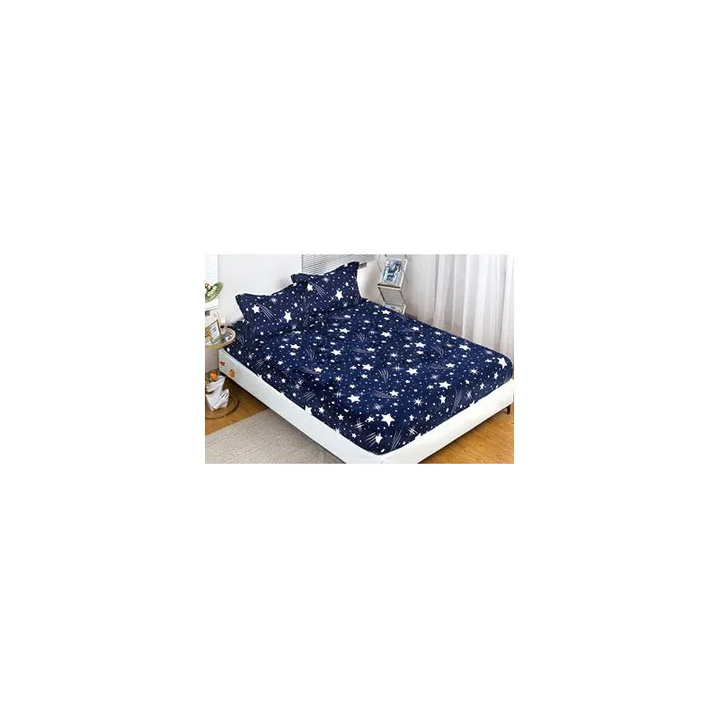 Husa de Pat Cocolino cu Elastic + 2 Fete de Perna pentru Pat Dublu - XIA308