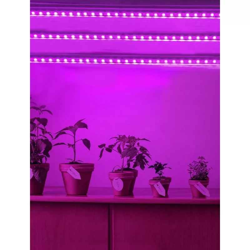 Lumina led pentru cresterea plantelor - 5 m