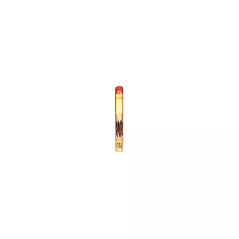 Betisoare parfumate - set 20 buc - india cinnamon (scortisoara)